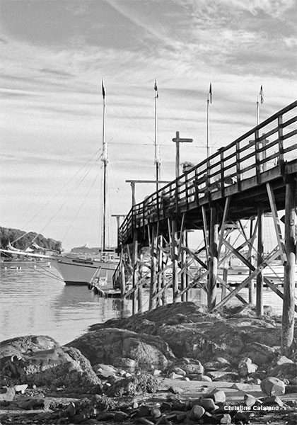 Early Morning at the Harbor by Christine Catalano