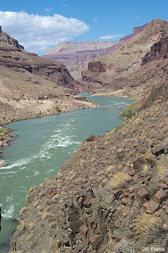 Inner Gorge, North Rim of the Grand Canyon by Jill Florio